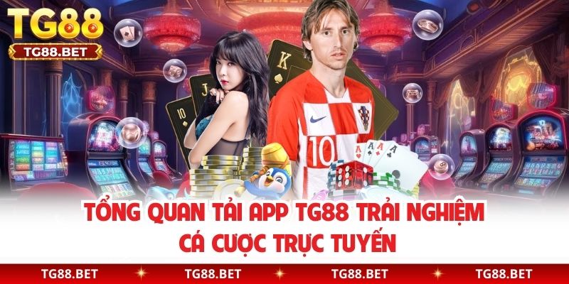 Tổng quan tải app TG88 trải nghiệm cá cược trực tuyến